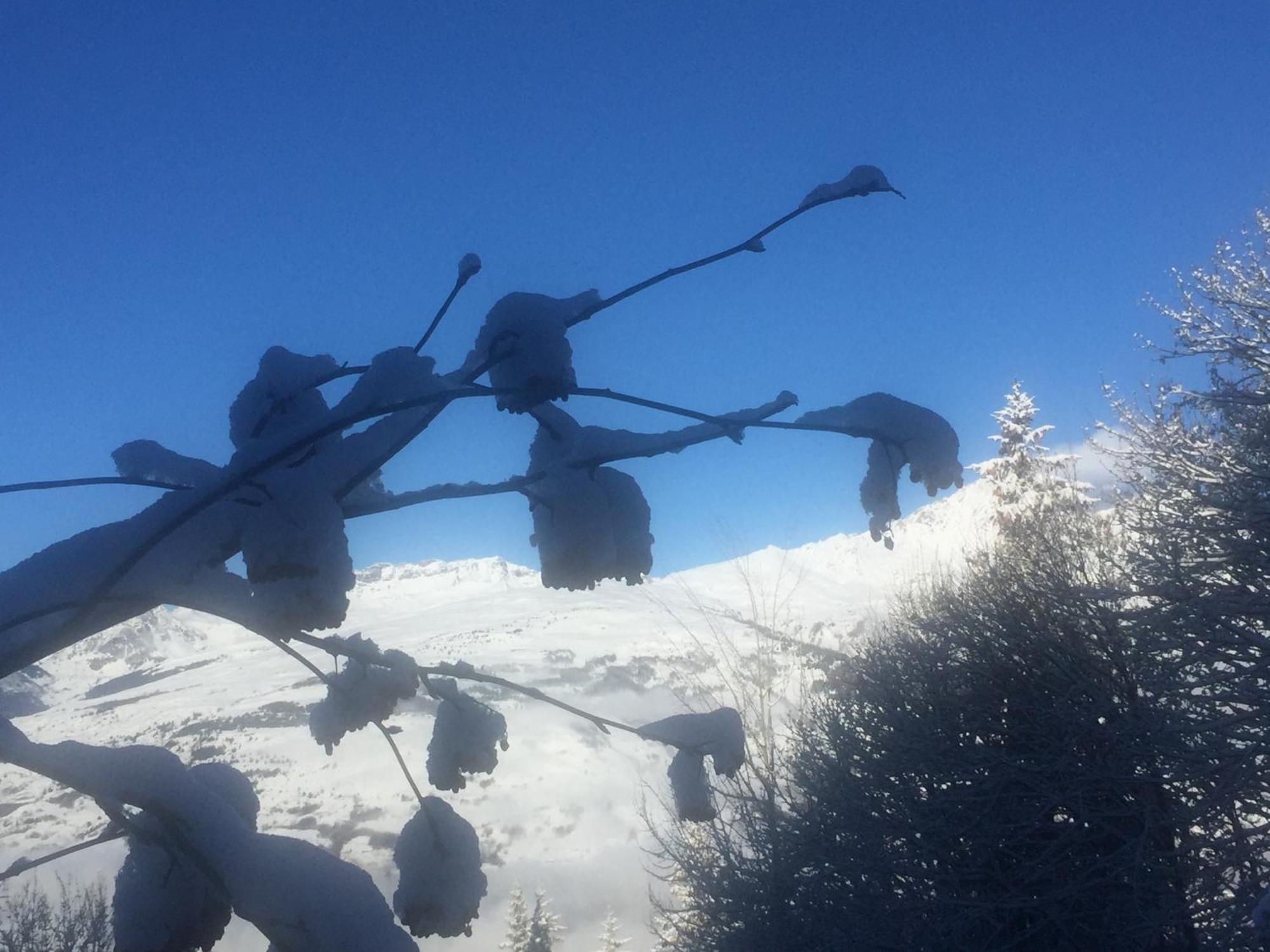 Les Arcs 1800 Appartement Bourg-Saint-Maurice Buitenkant foto